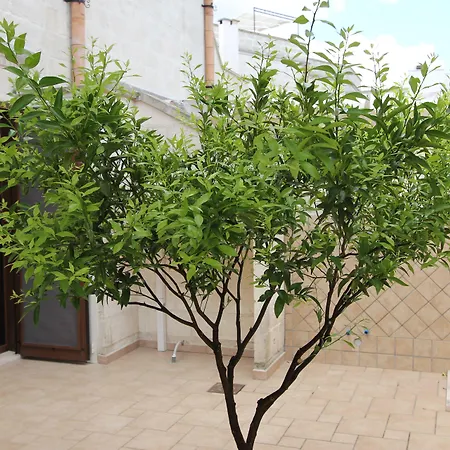 Apartamento Borgo Antico
