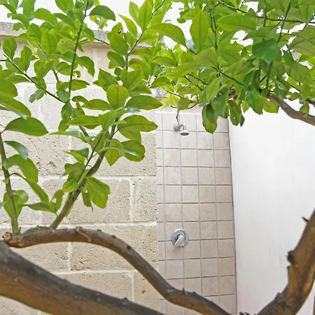 博尔戈安蒂科公寓式酒店