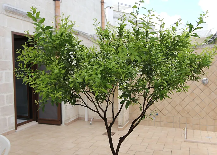 Apartment Borgo Antico